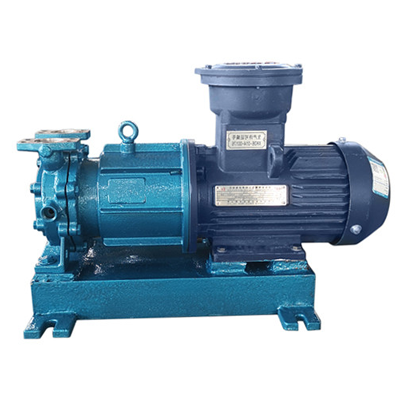 CWB magnetic whirlpool pump